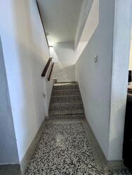 Serangoon Park (D13), Terrace #499938261